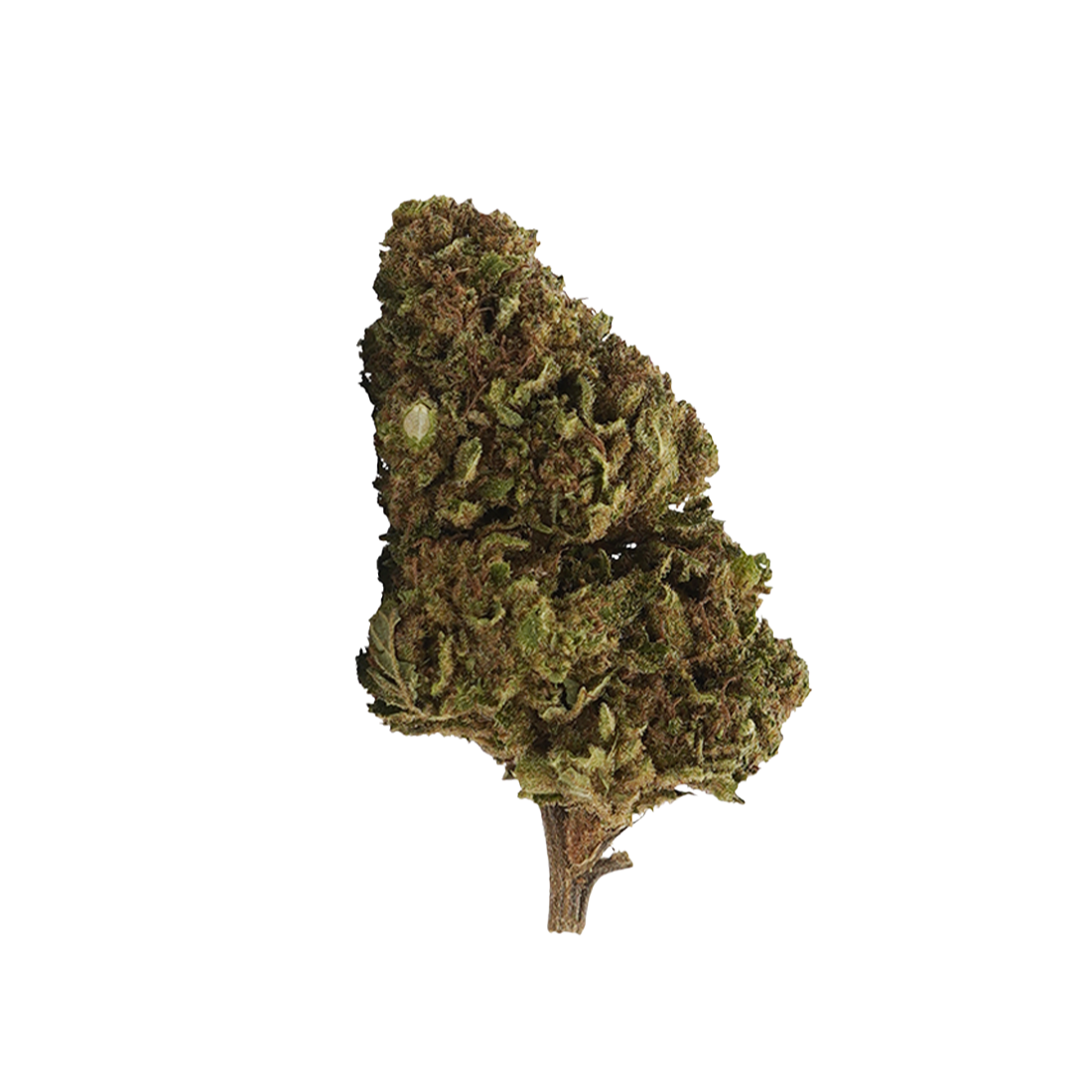 White Widow 10-OH-HHC