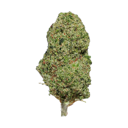 Gorillia Glue