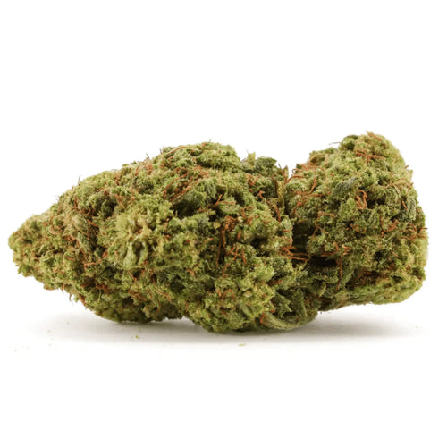 Orange Bud CBX